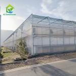 Multi Span Agricultural Plastic Film Tropical Greenhouse For Tomato
