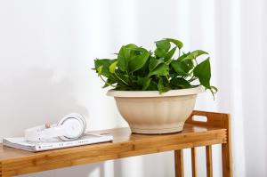 Quality 30cm Colander PP 10 Inch Nursery Resin Terracotta Plant Pots wholesale