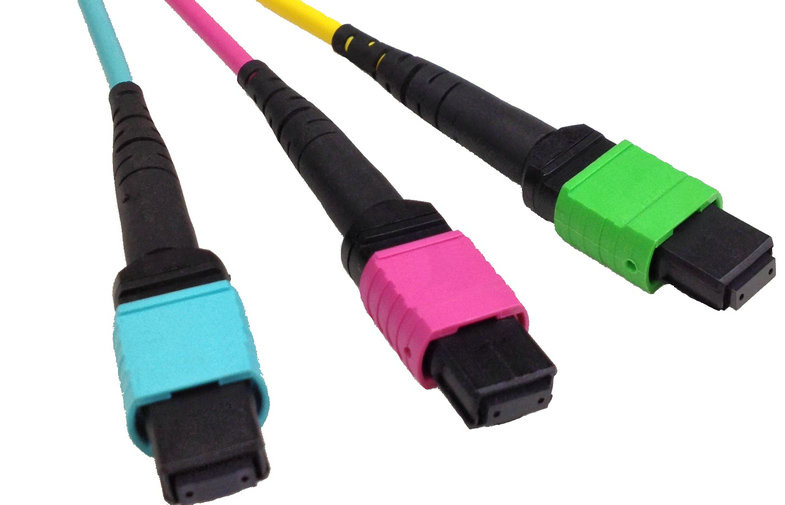 Multi Mode MTP To MTP Patch Cables Assembly Low Loss 12 / 24 Fibers ROHS Approval