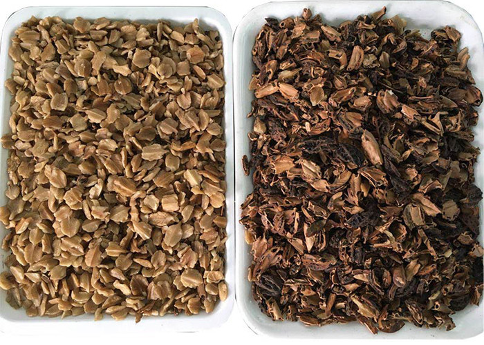 User Friendly 6 Channels CCD Camera Kernel Walnut Color Sorter
