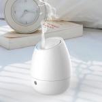 Home Appliances White 100ml Cool Mist Ultrasonic Humidifier