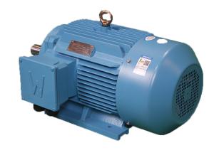 Quality YE3-315S-2 110 380V IP55 IM B3 Three Phase Asynchronous Motor LV wholesale