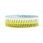 2.5 X 32mm Electro Galvanized Screw Shank Plastic Sheet Collated Coil Nail