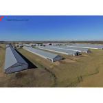 Fully Automatic Poultry Farm Equipment , Galvanized Poultry Farm Layer Cage