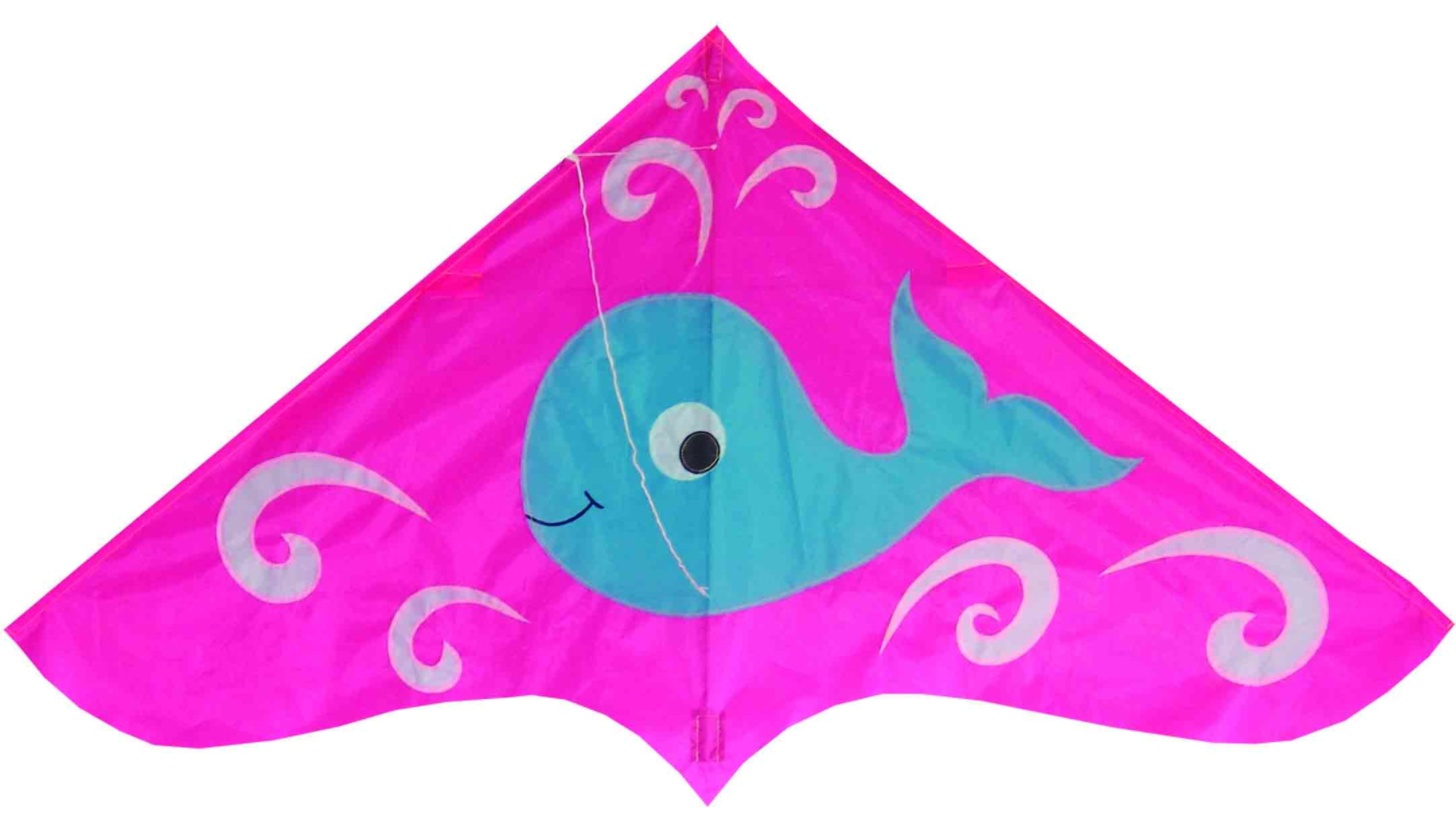 Single Line 125*70cm Delta Wing Kite With 30m String Line