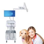 Factory Animal Dental Operation Trolley Dog And Cat Vet Dental Mobile Cart Pet