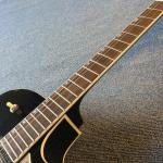 Hollow body jazz electric guitar,Double F hole, tremolo system, black high