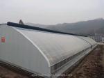 Tomato Strawberry Flower Hydroponic Winter Quilt Greenhouse with Double Layer