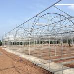 Agricultural Commercial Industrial Plastic Multi Span Greenhouse For Tomato