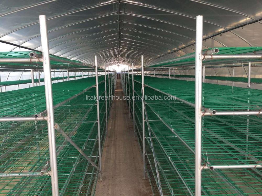 White Double Layer Greenhouse for Mushroom Farming Profitability