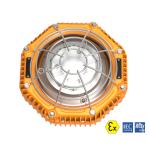 IECEX Zone 1 Hazardous Area Lighting 30W-60W