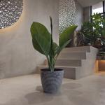 Outdoor Tree Plastic Flower Pots with Drainage Holes