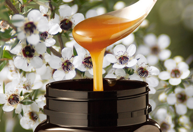 100% Natural Bee HoneyMGO100+ Pure New Zealand Pure Raw Manuka Honey In Drum