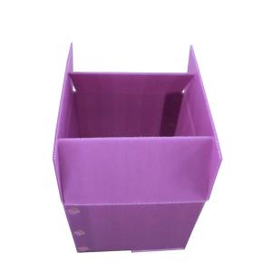 Quality Rigid Lightweight Vegetable Packaging Box Corrugated Plastic Storage Box wholesale