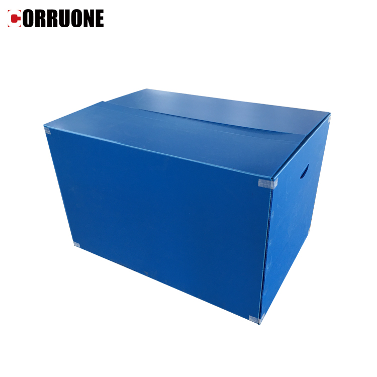 PP Corrugated plastic box vegetable fruit box