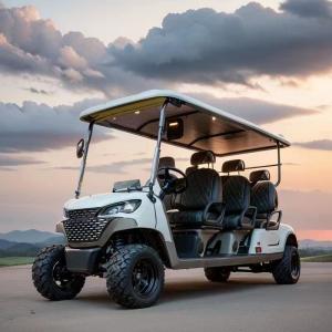 Quality 70-90km Long Range Golf Cart with 5KW Depot AC Motor and 220V Charging Input wholesale