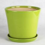 Unique Ceramic Pots For Distinctive And Eye-catching Plant Collection
