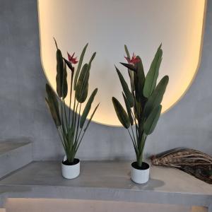 Quality Charming Hypoallergenic Faux Palm Tree | Crafted for Indoor and Outdoor Decor wholesale