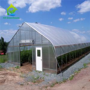 Quality 8m*30m Hydroponic Poly Tunnel Greenhouse Heavy Duty Plastic Sheeting Greenhouse wholesale