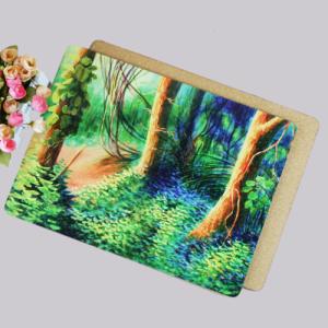 Quality Promotional gift wholesale cork placemats/dinner MDF table mat design wholesale