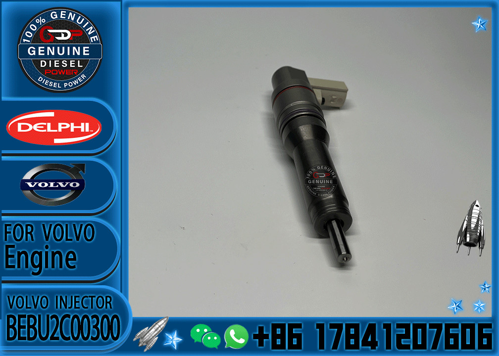 Fuel Unit Pump BEBU2C00300 BEBU2C00500 BEBU2C00200 for DAF MX13 EUP 1934322 2102391 1871117 21034613 20453499 2034927