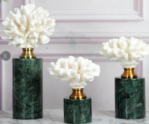 Quality Tabletop Coral Home Decor Sculptures wholesale