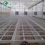 Large-Scale Farming Container with Multi-Span Agricultural Greenhouses