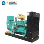 200kva Gas turbine generator biogas/natural gas/LPG generator