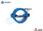Double Flanged Double Offset Butterfly Valve For Chemical / HVAC Industry