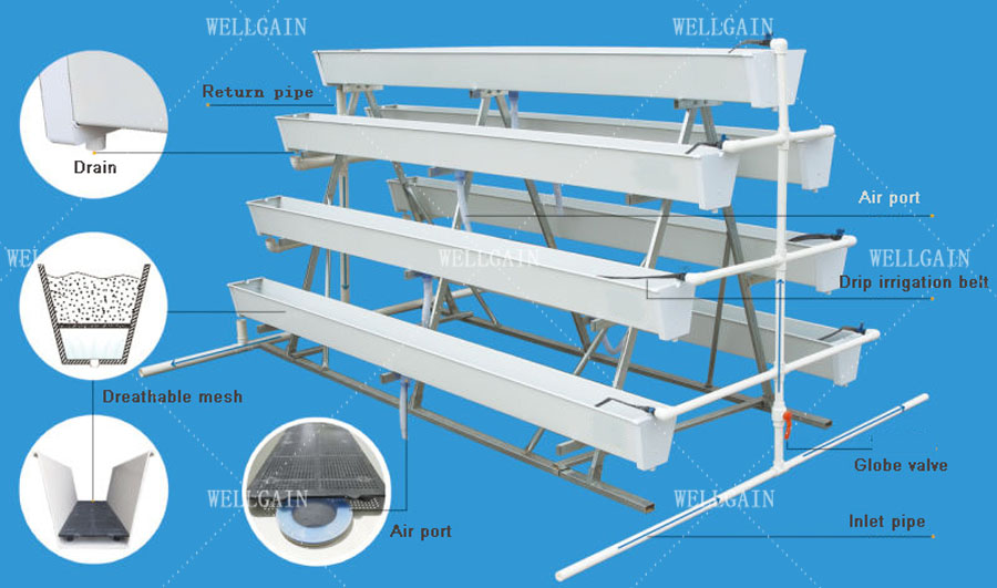 Modern Agricultural Strawberry Growing Troughs Greenhouse PVC Hydroponic Grow Equipment
