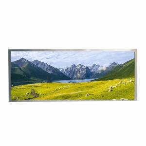 Quality HannStar 12.3&quot; TFT IPS LCD 1920x720 850nits WLED LVDS 50pins wholesale
