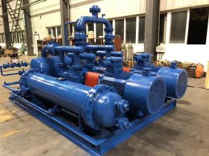 Quality Stainless Steel Single-Stage Liquid Ring Vacuum Mercury System wholesale