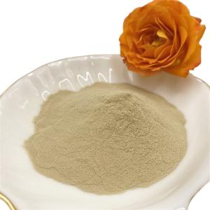 Quality Compound Total Free Amino Acid Powder Natural Fertilizer PH4 - 6 wholesale