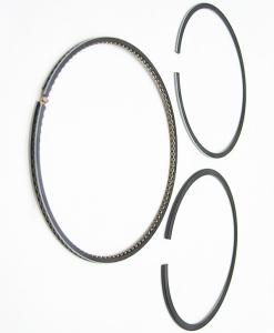 Quality Corrosion Resisitng Piston Ring For Daf Dieselmotor2.51 AD4236 98.48mm wholesale