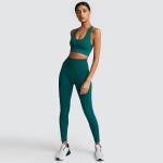Women Custom Printed Gym Fitness Compression Workout Sport Seamless Tights