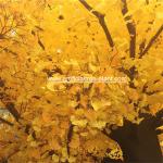 Wood Autumn Artificial Ginkgo Leaves Non - Toxic Moisture - Proof