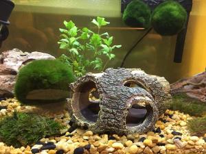 Quality Artificial Driftwood Aquarium Decoration Items wholesale