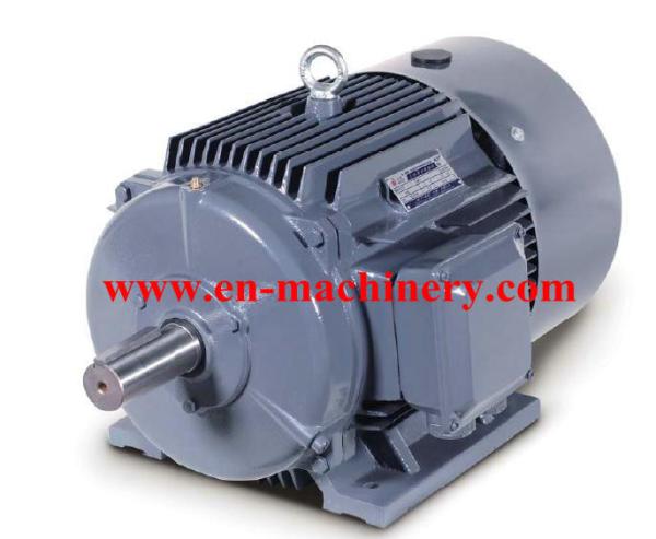 Engine Motor three phase Super High Efficiency AC DC Electric Motor