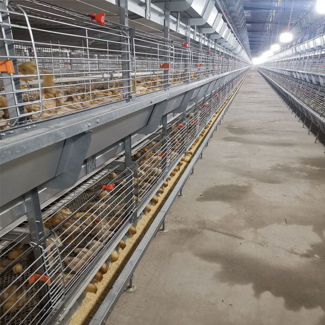 Q235 Bridge Steel Baby Chick Cage Layer Chicken Cage , SGS Manure Removing