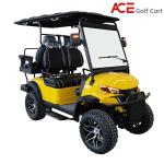 PP Hard Plastic Electric Golf Cart With Independent Suspension 40km/H Max Speed