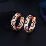Fashion earring jewelry CZ crystal Beautiful cubic zirconia brass earrings