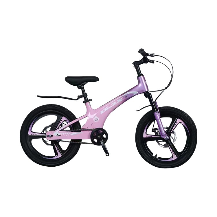 Mountain Bicycle with 21 Speed Gears and Magnesium Alloy Frame