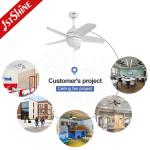 32 Inches Modern Ceiling Fan , AC Motor Plastic Blades White Quiet Ceiling Fan