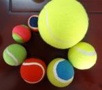 animal squeaker tennis ball