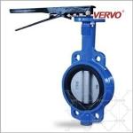 Gray Iron Castings Gg25 Manual Butterfly Valve API609 Dn200 Wafer Butterfly