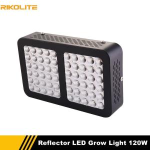 Quality 120w 510umol Indoor Plant Grow Lights , Full Spectrum Hydro Grow Lights wholesale