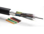 Ribbon Loose Tube G652D Anti Rodent Fiber Optic Cable GYDTS04