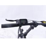 Multimode Lightweight Electric Folding Bike 20mph Max Speed For Adults