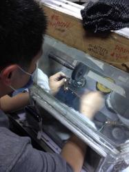 Shenzhen vvsJewel Gold Diamond Jewelry Factory