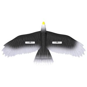 Quality 3 Led Light Easy Play 56cm Epp Material Electric Rc Eagle Glider With Remote Outdoor Play for the Whole Family wholesale